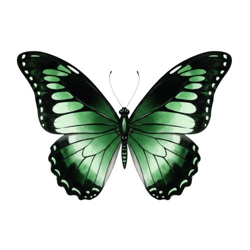 Mariposa