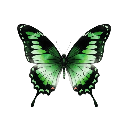 Mariposa