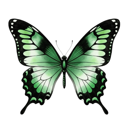 Mariposa
